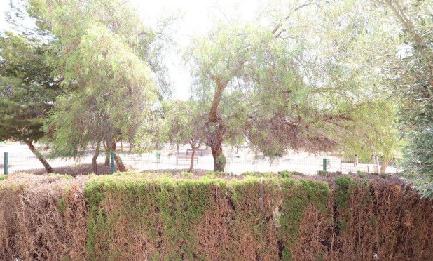 Resale - Townhouse - Orihuela Costa - Punta Prima