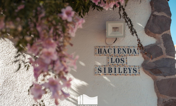 Wiederverkauf - Finca / Landgut - Lorca