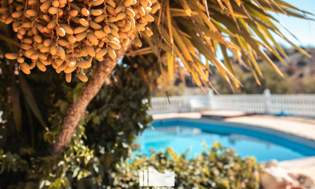 Wiederverkauf - Finca / Landgut - Lorca