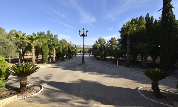 Resale - Finca / Country Property - La Matanza