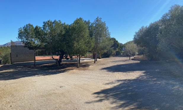 Herverkoop - Finca / Landelijk eigendom - Murcia