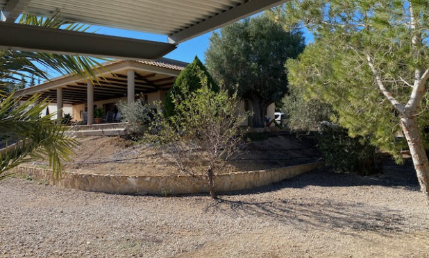 Herverkoop - Finca / Landelijk eigendom - Murcia