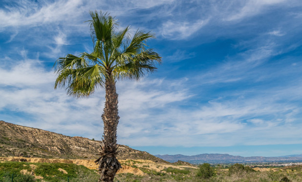 Resale - Apartment / flat - Algorfa - La Finca Golf