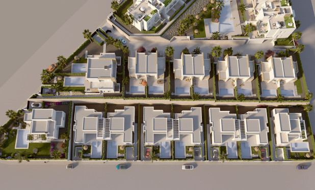 Nowy budynek - Kamienica - Algorfa