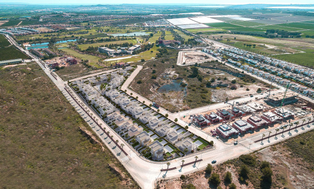 Nowy budynek - Kamienica - Algorfa