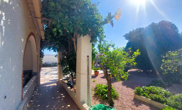 Revente - Finca / Propriété rurale - La Marina