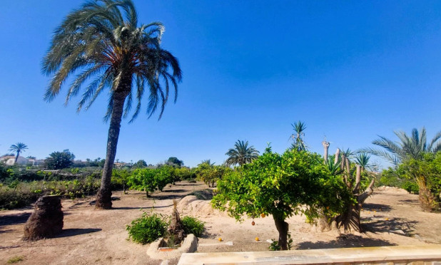 Revente - Finca / Propriété rurale - La Marina