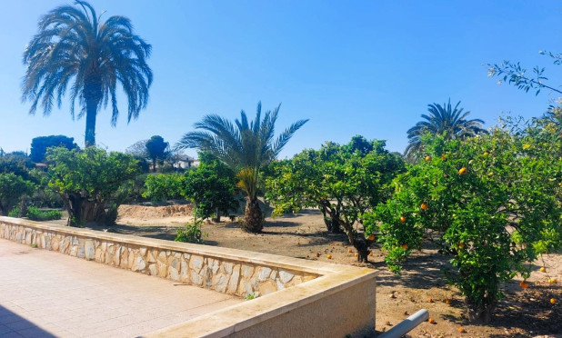 Revente - Finca / Propriété rurale - La Marina