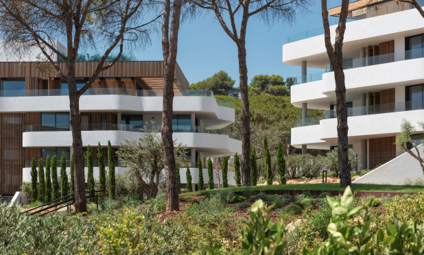 Obra nueva - Apartamento / piso - Pueblo Nuevo