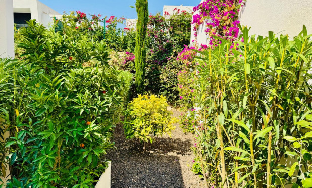 Resale - Villa - Algorfa - La Finca Golf