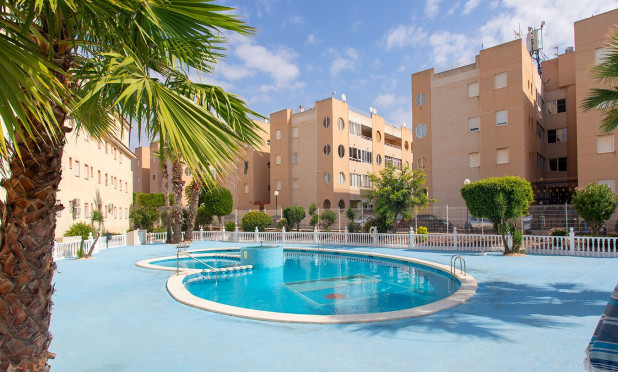 Long Term Rental - Apartment / flat - Torrevieja - torrevieja