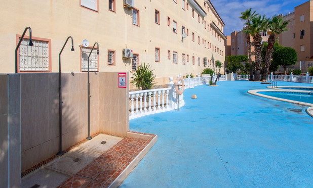 Long Term Rental - Apartment / flat - Torrevieja - torrevieja