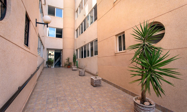 Long Term Rental - Apartment / flat - Torrevieja - torrevieja
