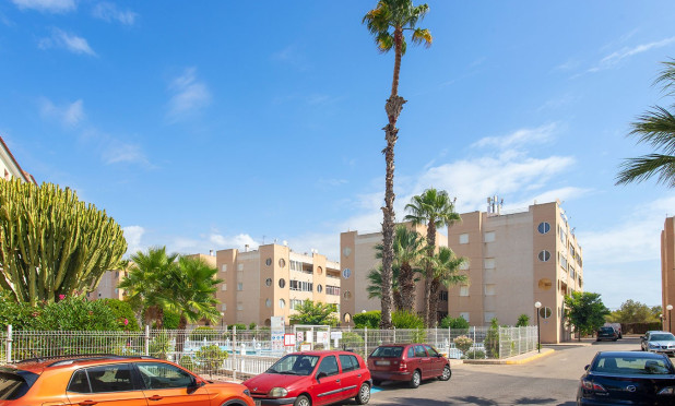 Long Term Rental - Apartment / flat - Torrevieja - torrevieja