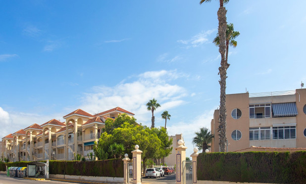 Long Term Rental - Apartment / flat - Torrevieja - torrevieja