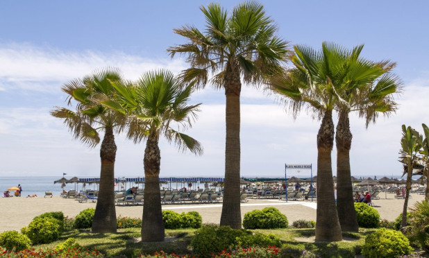 Neue Gebäude - Wohnung - Las Lagunas de Mijas
