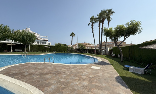 Wiederverkauf - Wohnung - Orihuela Costa - La Zenia