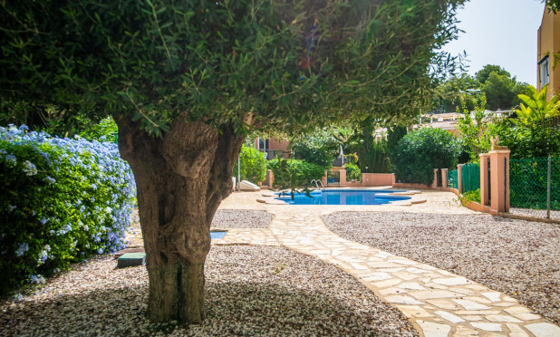 Reventa - Finca / Casa de Campo - Torrevieja - Los Balcones