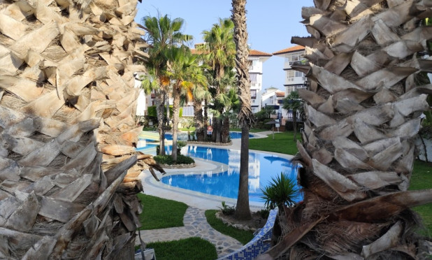 Herverkoop - Appartement / flat - Torrevieja - torrevieja