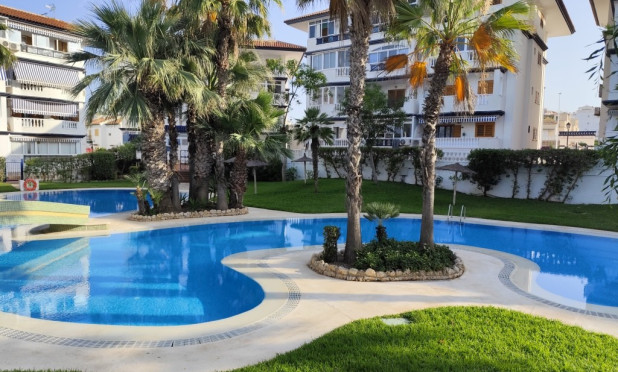 Herverkoop - Appartement / flat - Torrevieja - torrevieja
