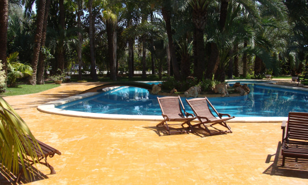 Reventa - Villa - Elche