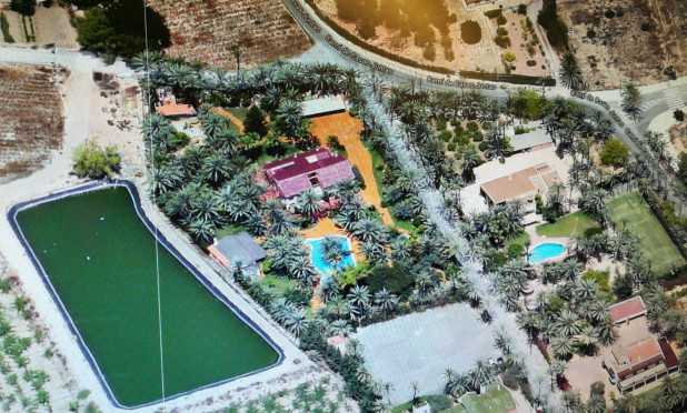 Reventa - Villa - Elche