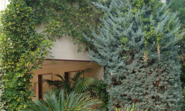 Reventa - Villa - Elche