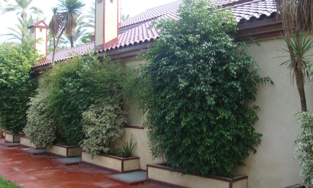 Reventa - Villa - Elche