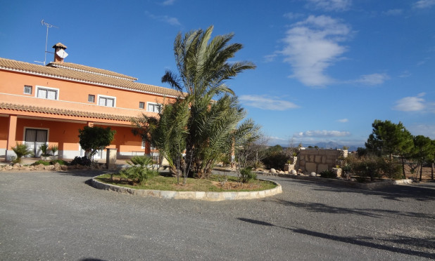 Odsprzedaż - Finca / Nieruchomość wiejska - El Altet