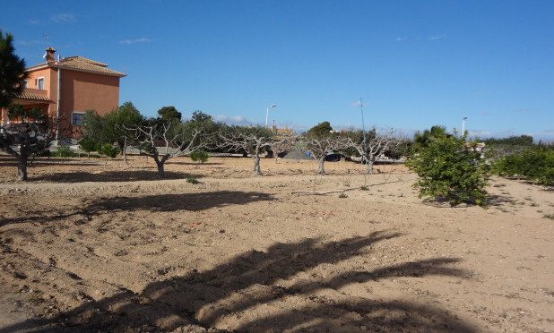 Odsprzedaż - Finca / Nieruchomość wiejska - El Altet