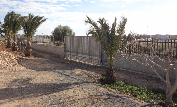 Odsprzedaż - Finca / Nieruchomość wiejska - El Altet