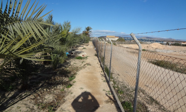 Odsprzedaż - Finca / Nieruchomość wiejska - El Altet