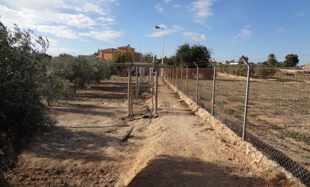 Odsprzedaż - Finca / Nieruchomość wiejska - El Altet