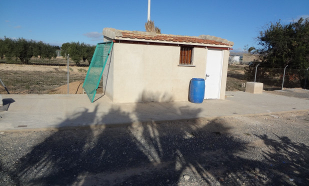 Odsprzedaż - Finca / Nieruchomość wiejska - El Altet