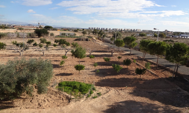 Odsprzedaż - Finca / Nieruchomość wiejska - El Altet