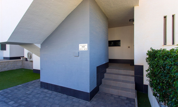 Long Term Rental - Apartment / flat - Alicante - Guardamar Del Segura