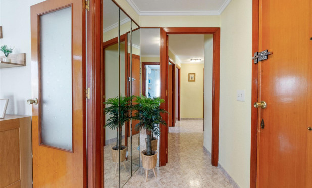 Herverkoop - Appartement / flat - Torrevieja - torrevieja
