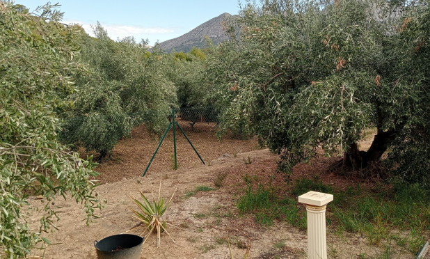 Wiederverkauf - Grundstück / Grundstück - La Nucía