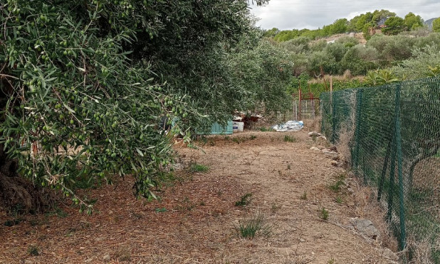 Wiederverkauf - Grundstück / Grundstück - La Nucía