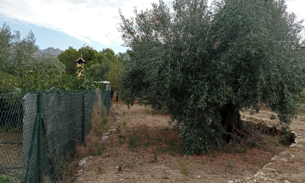 Wiederverkauf - Grundstück / Grundstück - La Nucía