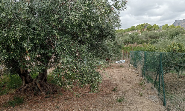 Wiederverkauf - Grundstück / Grundstück - La Nucía