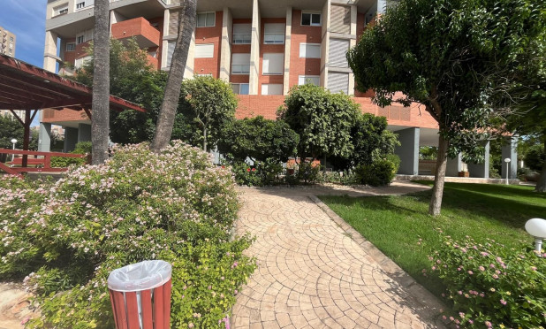 Reventa - Apartamento / piso - Benidorm - Centro