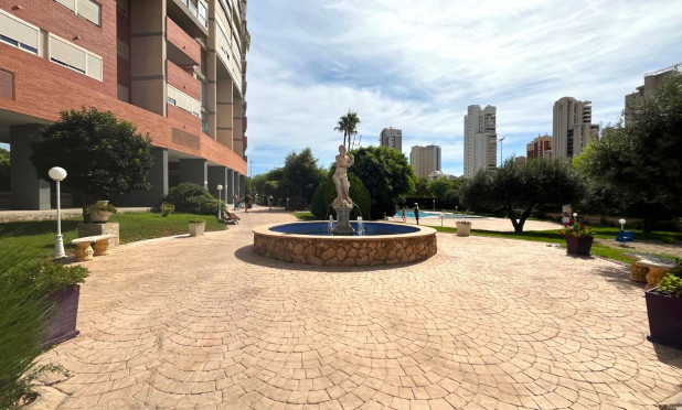 Reventa - Apartamento / piso - Benidorm - Centro