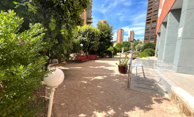 Reventa - Apartamento / piso - Benidorm - Centro