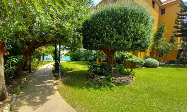 Herverkoop - Appartement / flat - Punta Prima