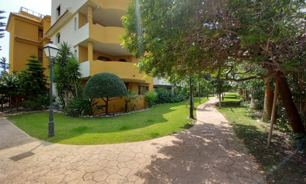 Herverkoop - Appartement / flat - Punta Prima
