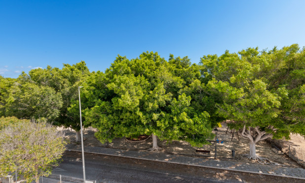 Neue Gebäude - Villa - Pilar de la Horadada