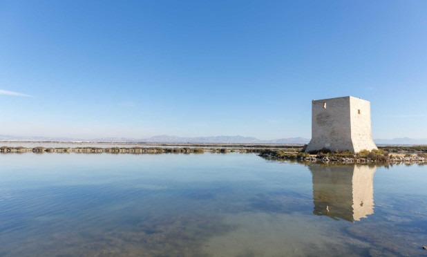 Obra nueva - Ático - Santa Pola - Eroski