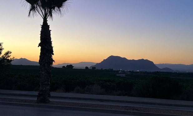 Odsprzedaż - Kamienica - Algorfa