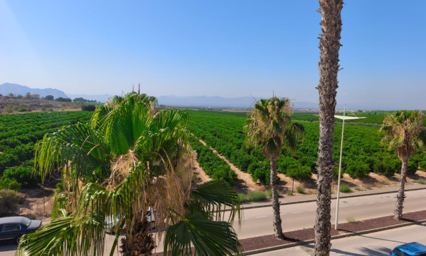 Resale - Villa - Algorfa - La Finca Golf